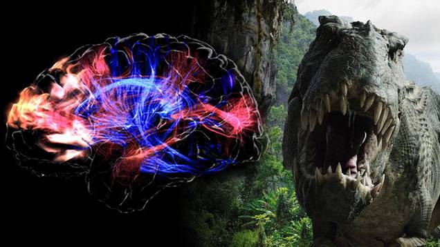 Prejudice is a Form of Common Sense - Hard-Wired Into the Human Brain, Says ASU Study