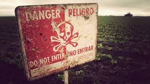 Outrage Follows USDA’s Advancement of New Genetically Engineered Crops