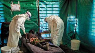 WHO Accepts Use of Untested Ebola Medicines