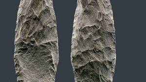 Evidence for Pre-Clovis Inhabitants of Americas Emerges from Sea Floor