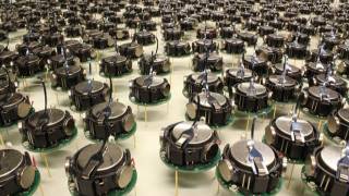 The Collective: Largest Swarm of Robots Ever