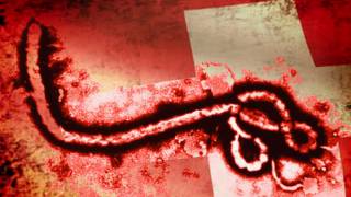 Man bitten by Ebola patient flown to Switzerland