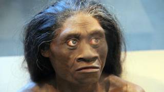 New Controversial Theory Suggests "Hobbits" Were Not Human - Who Were These Mysterious Beings?