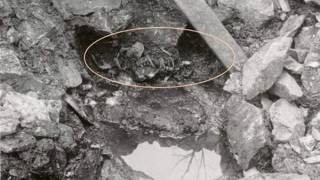 800-year-old body found in Norwegian well supports accuracy of Sverris Saga