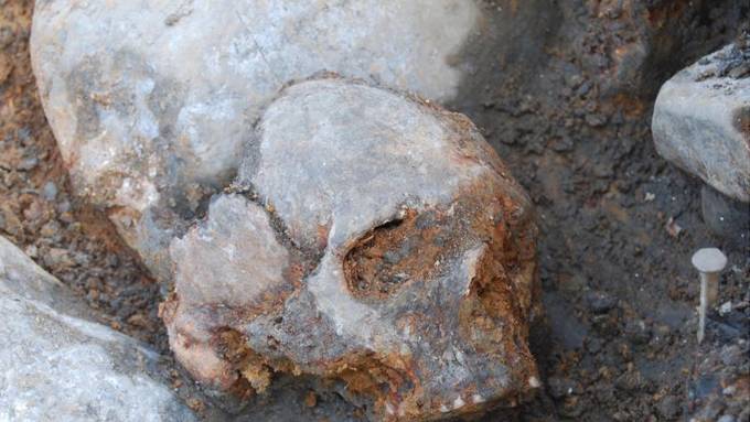 New branch added to European family tree