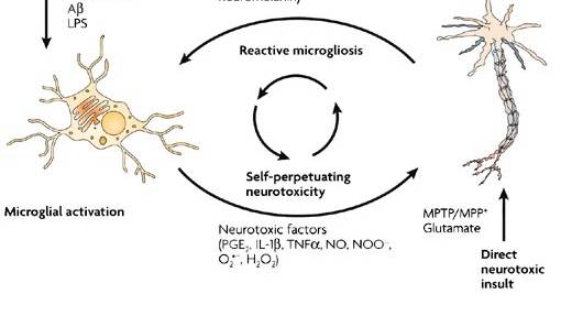 How Monsanto is Destroying the Brains and Health of Everyone