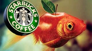 Starbucks Supports Pro-GMO Company