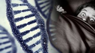 Phobias may be memories passed down in genes from ancestors
