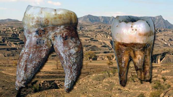 Strange fossils from China don’t seem to fit any known hominin species. Could they be something new?