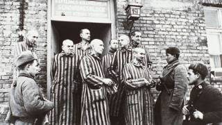 The Liberation of Auschwitz