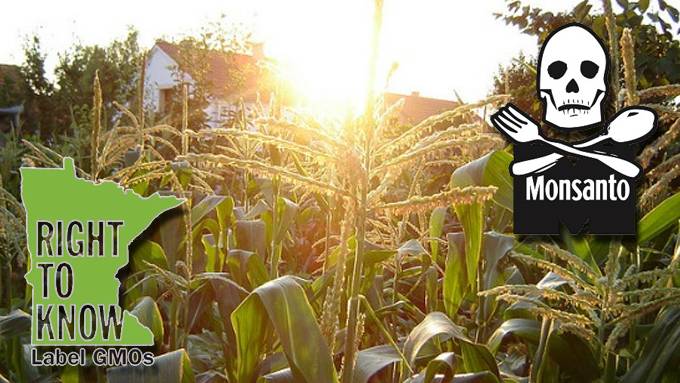 Minnesota’s New GMO Labeling Bill Could Change Everything For Monsanto