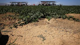 Scary Times For California Farmers As Snowpack Hits Record Lows