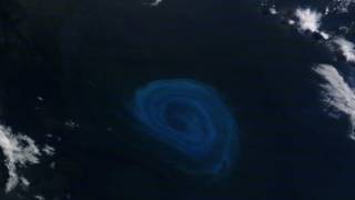 Dead zones: Places where no animal can survive found in Atlantic Ocean