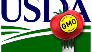USDA develops first government label for GMO-free products