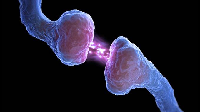 Hang On To Your Memories, Scientists Discover Equations That Could Change Them