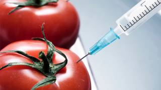 Analysis Confirms Chemicals in Food Are More Hazardous in Combination