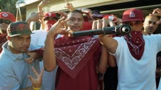 South Carolina: Hispanic Invaders Sue To Demand In-State College Tuition