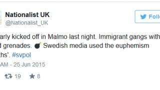 Violence Erupts in Sweden as Ethnic Groups Clash in Race Riots