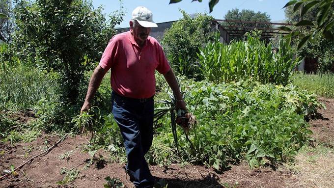 As Greece Falls, Will Those With Gardens Survive?