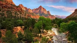 New York Times Complaining About Whiteness of National Parks