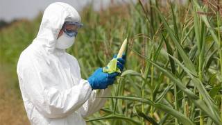 Russia says No to GMO seeds: aims for food supply that's 'cleanest in the world'