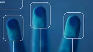 Ever Wonder Which Words Will Flag You as a Terrorist?