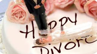 The Divorce Industry