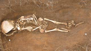 Archaeologists Find Viking Families Among Skeletons in Northern Iceland