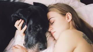 Vice Publishes Pro-Bestiality Article on Their New Feminist Blog Broadly