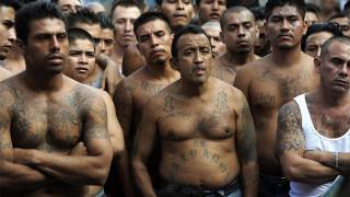 One murder every hour: how El Salvador became the homicide capital of the world