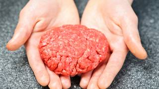 Researchers Find Horse Meat and Other Undeclared Species in Products Labeled Ground Beef