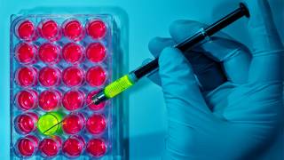 Aborted Fetal Cells In Products And Vaccines