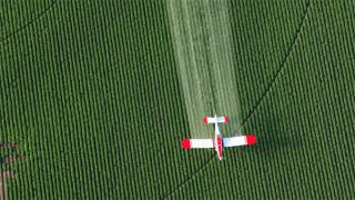New Monsanto Spray Kills Bugs by Messing With Their Genes