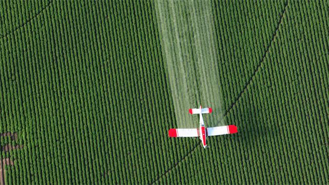 New Monsanto Spray Kills Bugs by Messing With Their Genes