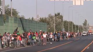 Immigrants in Hungary Head to German Border on Government Buses and Walking on Foot