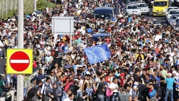 More Than 90% of Middle Eastern "Refugees" on Food Stamps