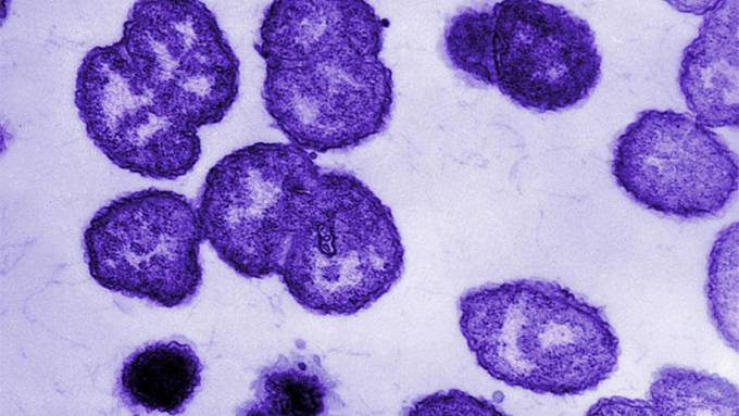 'Super-gonorrhoea' outbreak across north of England sparks national alert