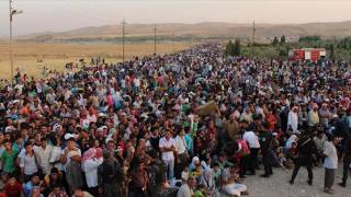 Nearly a third of migrants in Germany falsely claim to be Syrian, officials say