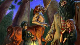 Babies to Be Manufactured from Two Same Sex Parents