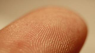 Fingerprints reveal whether you're black or white