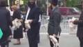 SWPL vs orthodox jews fight over chickens in New York