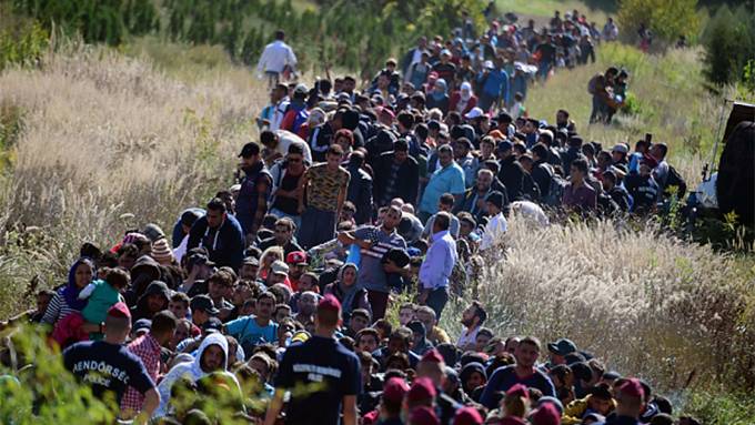 With Open Gates: The forced collective suicide of European nations