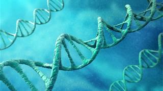 First genetically modified humans could exist within two years