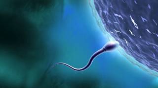 Britain's largest sperm bank bans men with dyslexia from donating