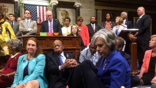 Democrats end House sit-in protest over gun control