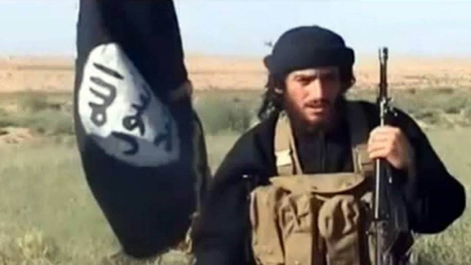 ISIS leader who issued edict for lone wolves to kill Westerners is dead