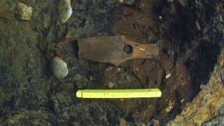 Swedish Researchers Find Submerged Mesolithic Settlement