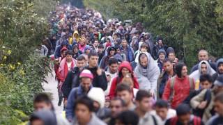 Financial Times: Mass Immigration Is Unstoppable