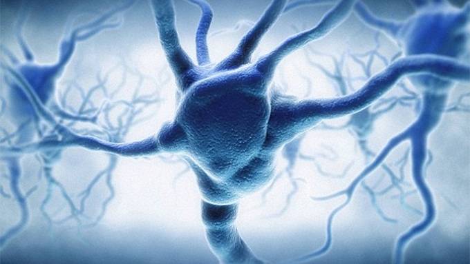 The human brain's capacity is 10 TIMES greater than first thought