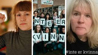 Swedish feminists: “Please don’t protect us if we get raped by immigrants”